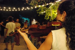 festa violino