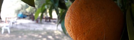 20160509_094753